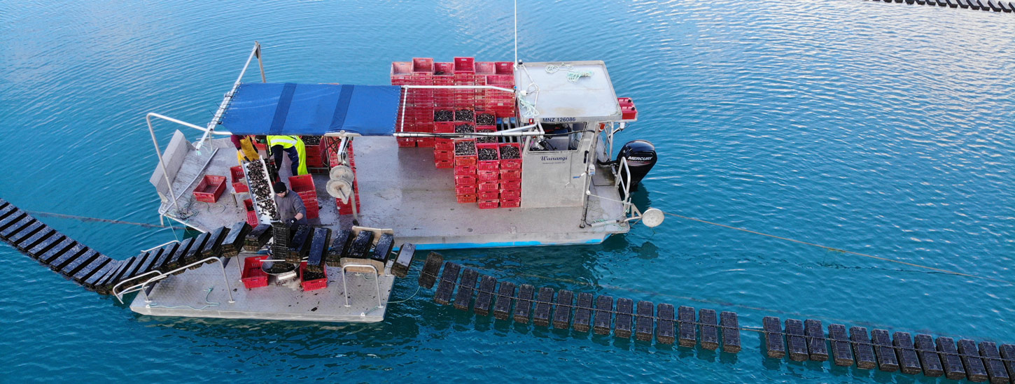 Worker on aquaculture system 