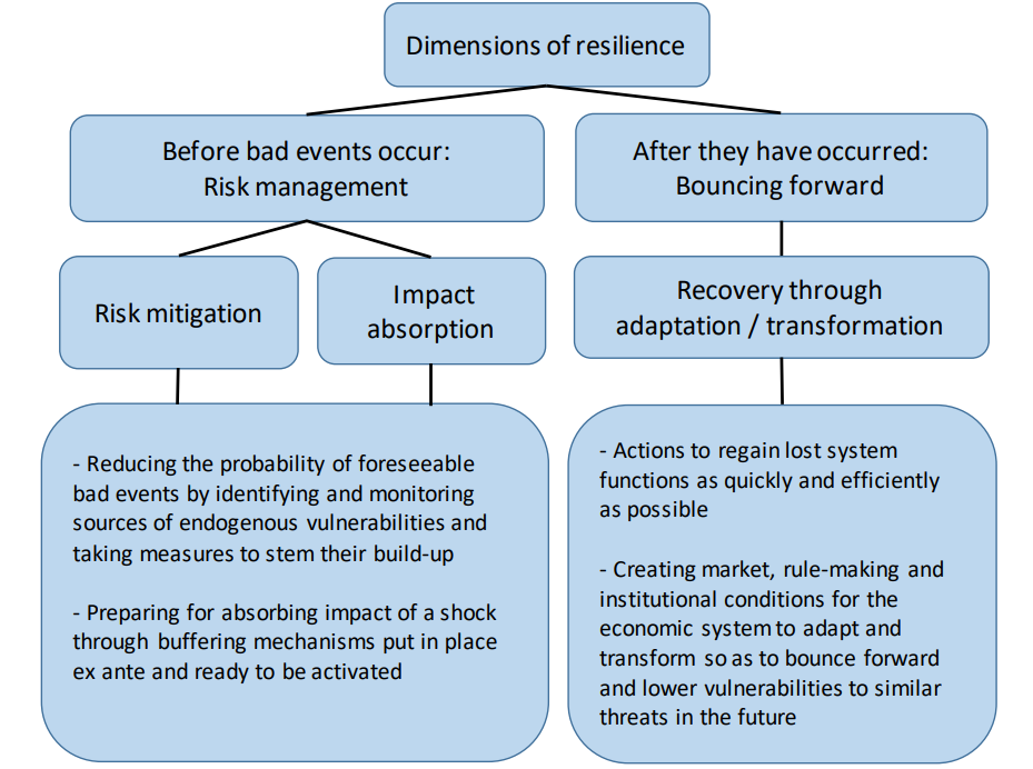 resilience policies summary